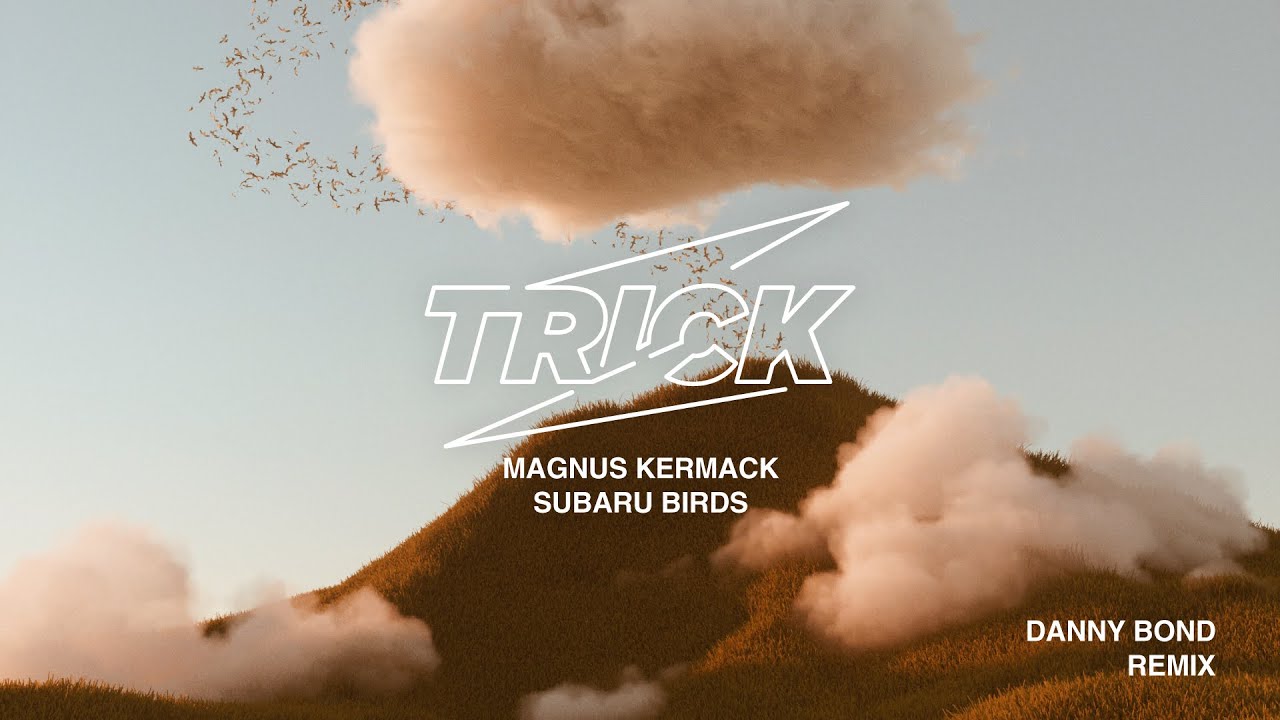 Magnus Kermack - Subaru Birds (Danny Bond Remix)
