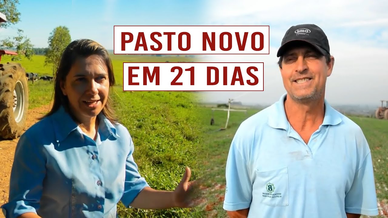 Pasto novo em 21 dias