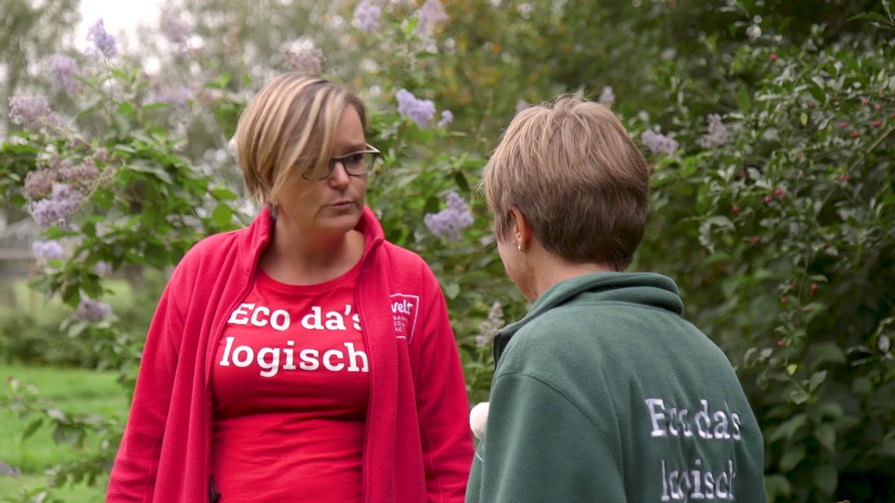 Wat kun je plaatsen in de schaduw van een tuin?