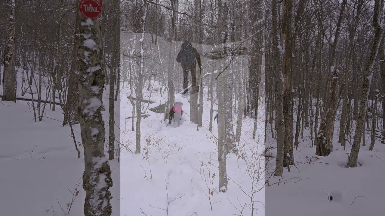 Cabot Mountain, Catskills New York