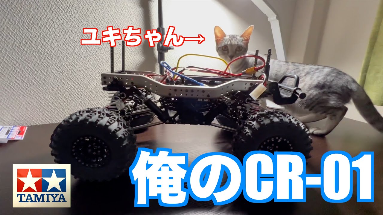 [ラジコン] 俺のCR01！使っているモーターやESCなどを紹介！