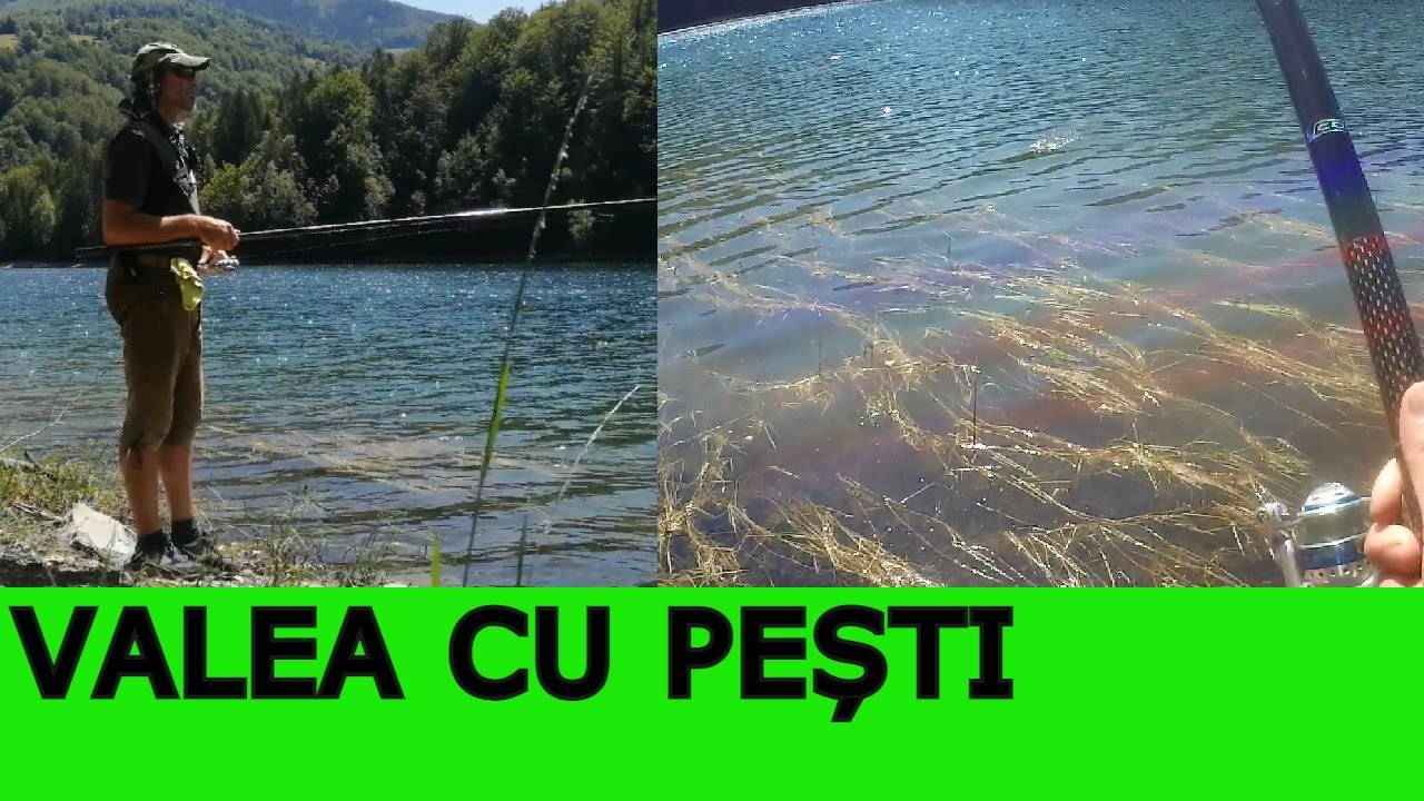 Pescuit La Plută la Valea de Pești cu Deeper-ul după Pești