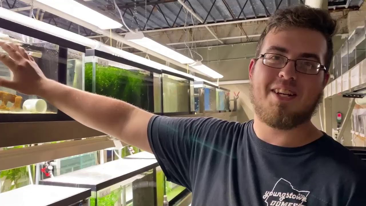 Unboxing with Flip Aquatics