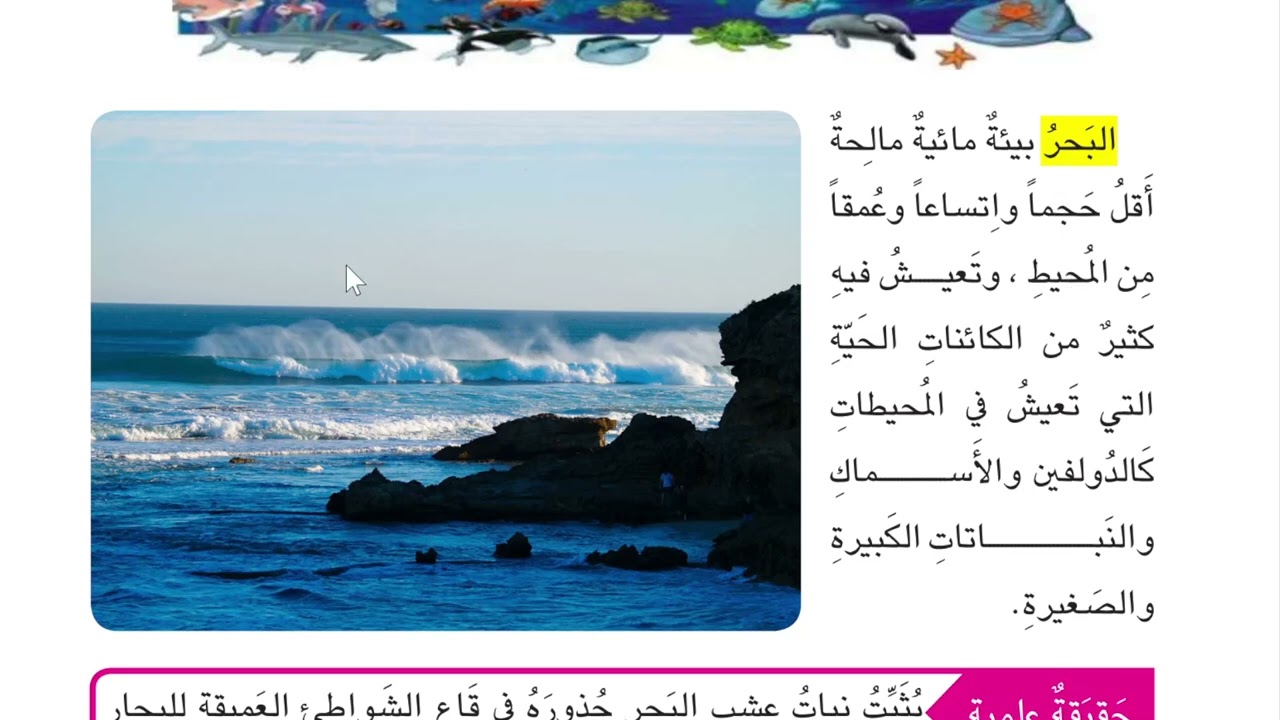علوم الصف الثاني ابتدائي صفحة 84 انواع البيئة المائية ما البيئة المائية وما انواعها