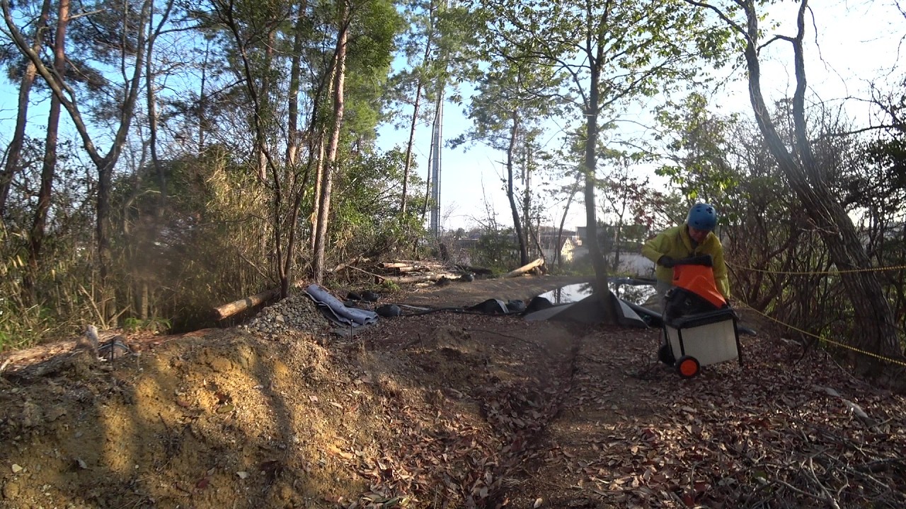 Nature Wonderland; beginning to shred pinetree branches on the hilltop 20260213