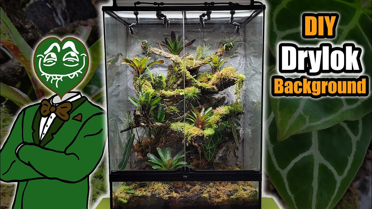 Jungle Vivarium Build | DIY Drylok Background