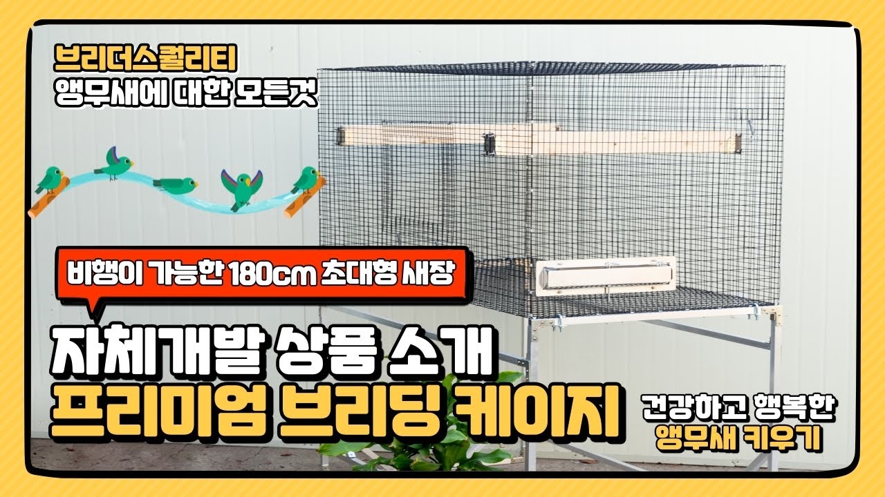 180cm 크기 대형 새장 출시 제품 소개 앵무새 번식 건강하고 행복하게 기르세요!!