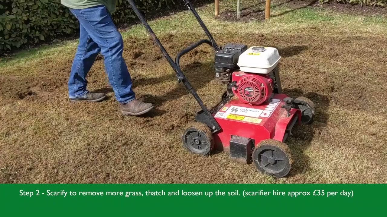 Preparing and sowing wild flowers on an existing lawn