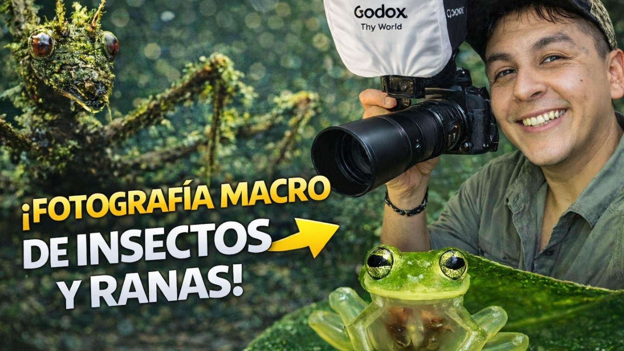 El mundo secreto de los insectos (¡en ultra detalle!)😱🪲🐸