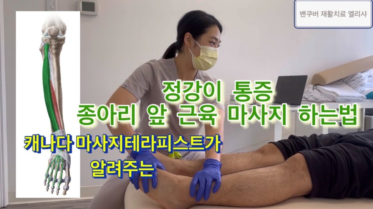 [정강이 통증 마사지] 오래서서 일하는 분들 종아리 앞 정강이 근육 마사지 하는법 !!! 등산 후, 조깅 후 오래 걷고 난후 다리 마사지 하는법