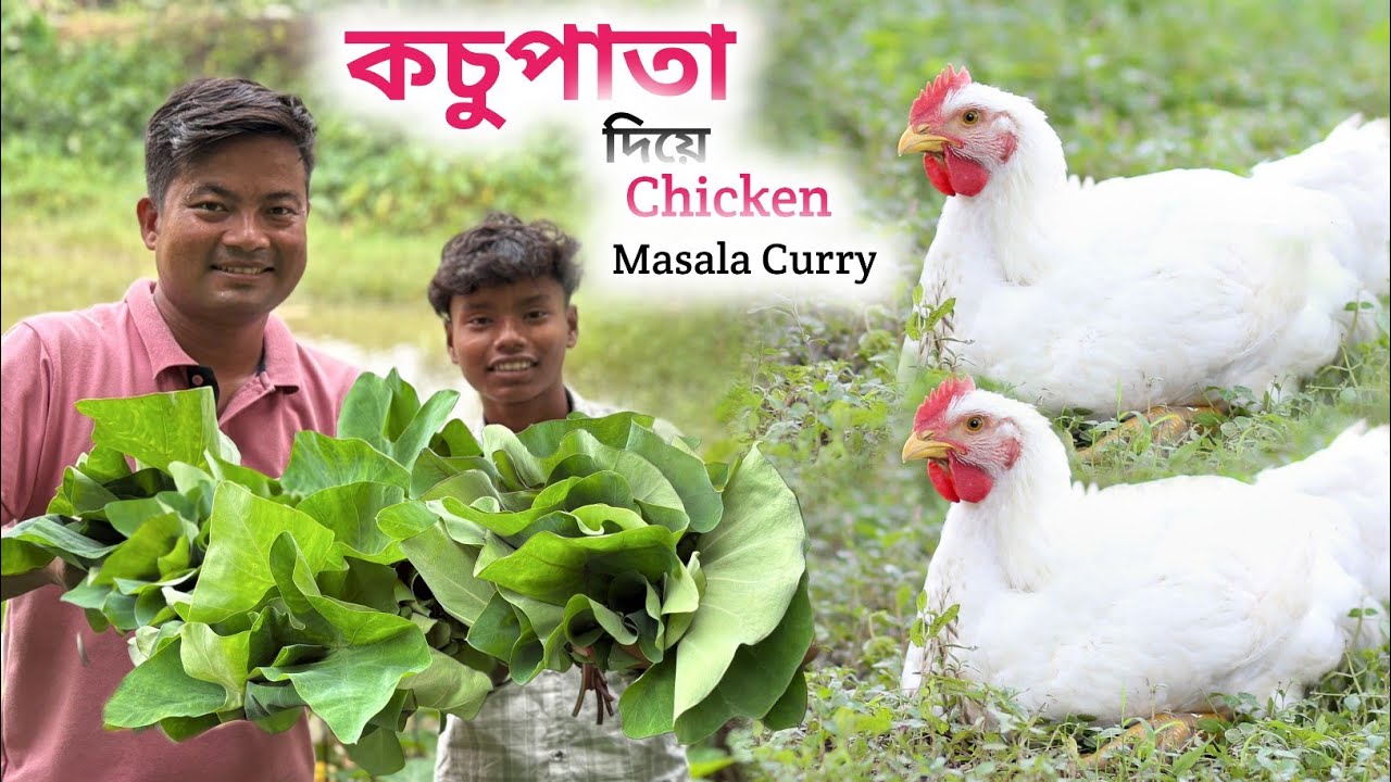 Kochu Pata Chicken Masala Curry | কচু পাতা চিকেন অসাধারণ রেসিপি 