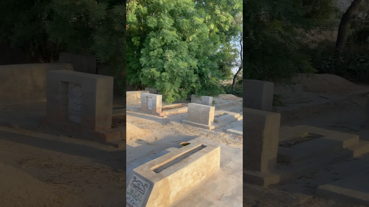 Qabrustan🥲 #qabrustan #qabar #graveyard #shorts #trending #youtubeshorts #viral #ytshorts #fyp #yt