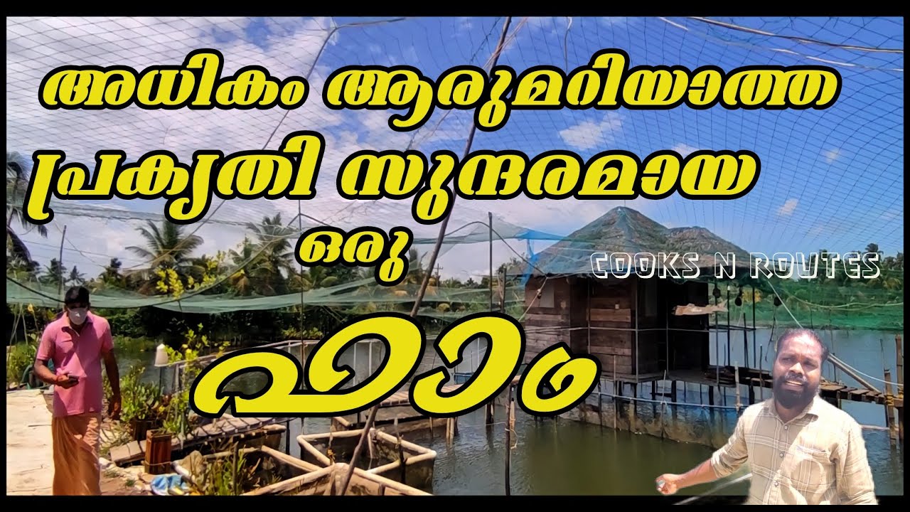 പ്രകൃതിസുന്ദരമായ ഒരു ഫാമിലെ കാഴ്ച്ചകൾ കാണാം.| Views of a beautiful farm close to the natural beauty