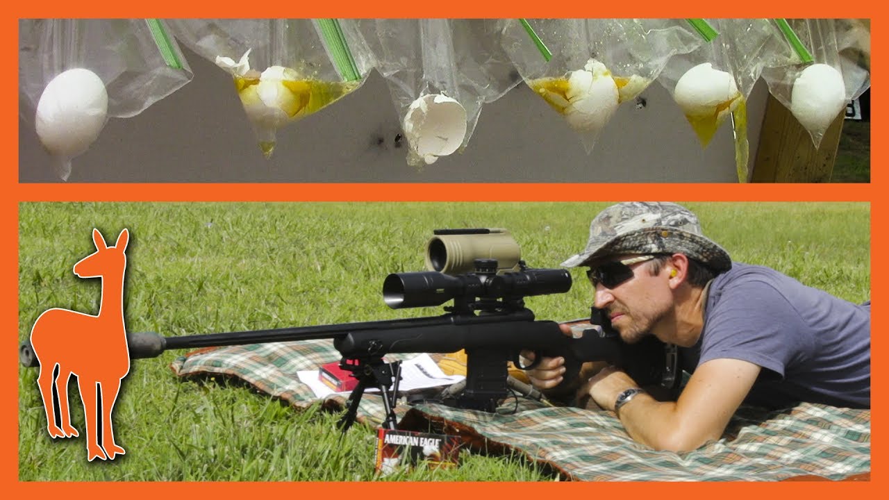 Savage Model 10 GRS 6.5 Creedmoor vs the 300-Yard Egg Challenge!