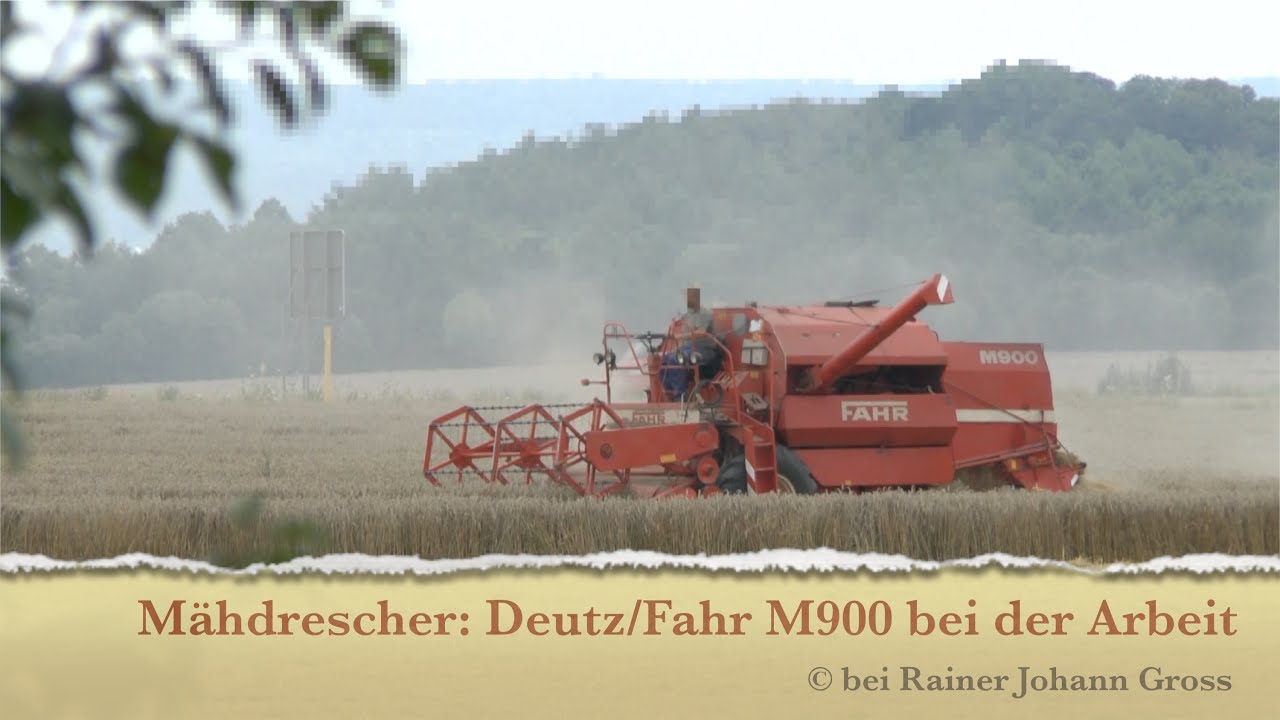 Mähdrescher Fahr M 900 bei der Arbeit