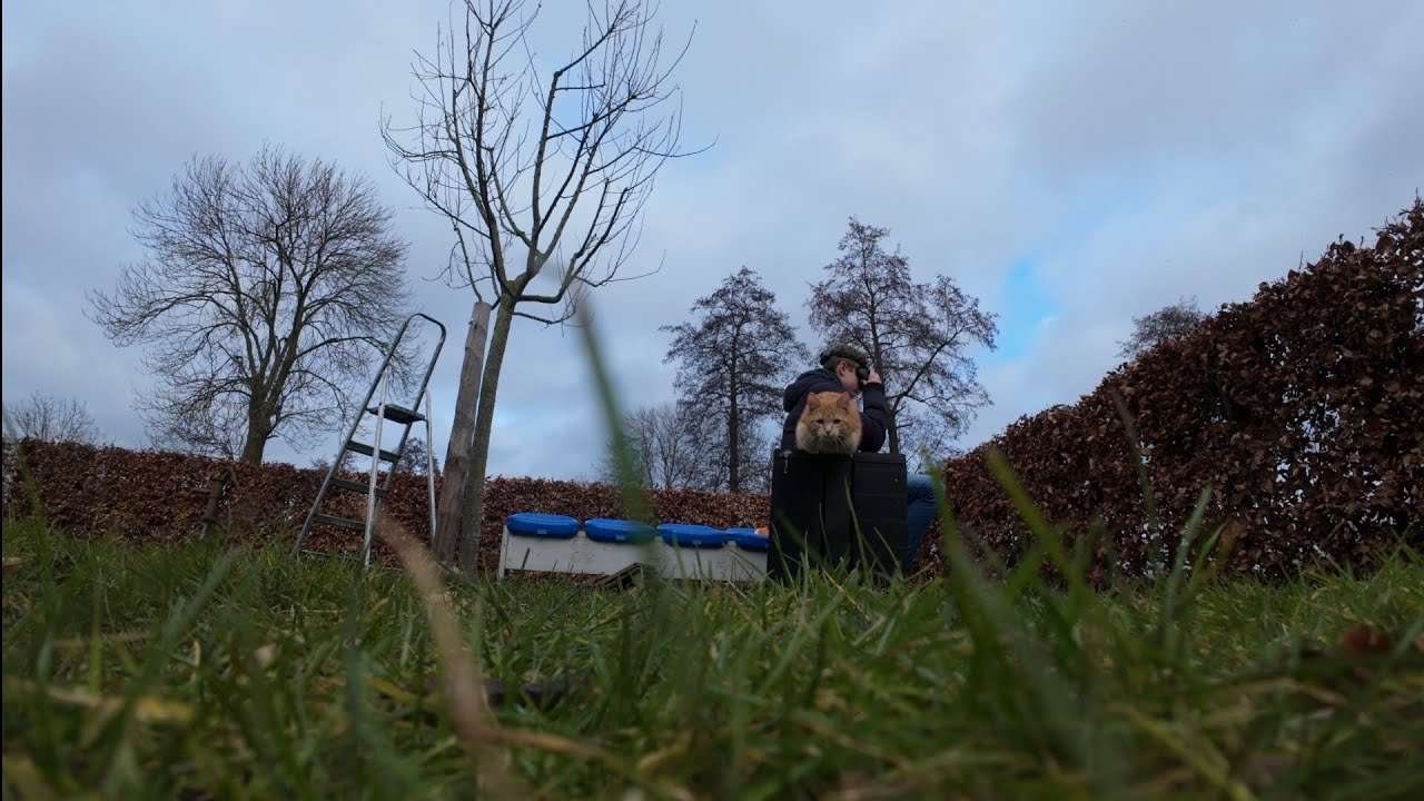 FpvFreestyle // DJI o4 Pro