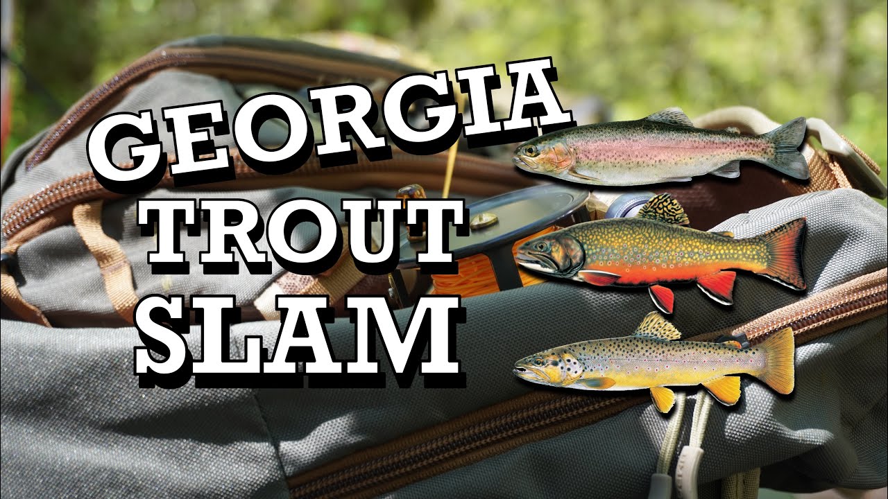 Fly Fishing for the new GEORGIA TROUT SLAM!