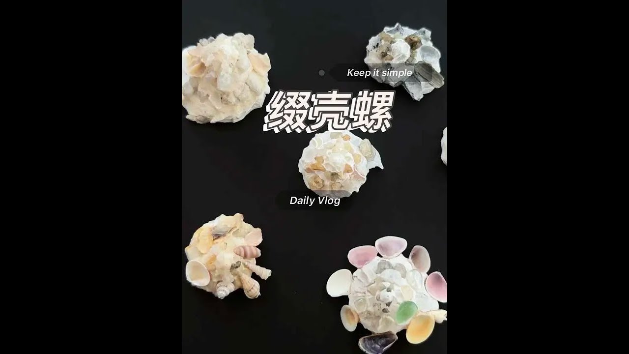 缀壳螺 一种神奇的海洋生物，会选择一些贝壳砂石排列有序的往壳上贴，捡到的壳有些品相都不完好了，那就补一补吧#海洋生物科普 #今日分享 #创意 #抖音看世界