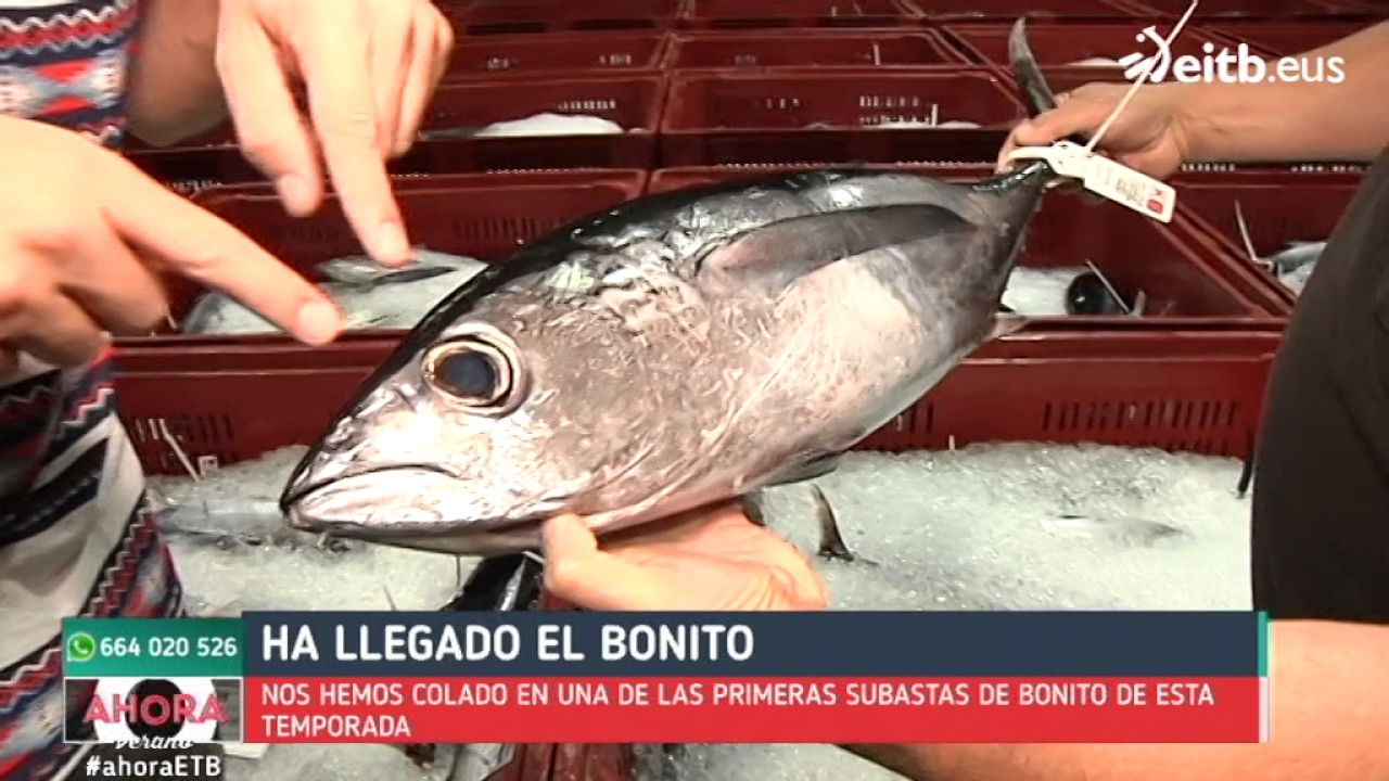 Así se subasta el primer bonito de la temporada