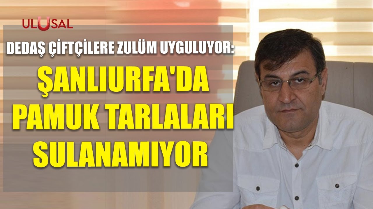 DEDAŞ çiftçilere zulüm uyguluyor: Şanlıurfa'da pamuk tarlaları sulanamıyor
