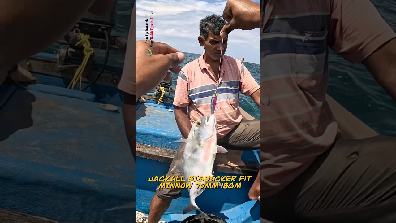 Jackall Fit Minnow 🎣 &ndash; Best Lure for Giant Trevally? #shorts #tackletips