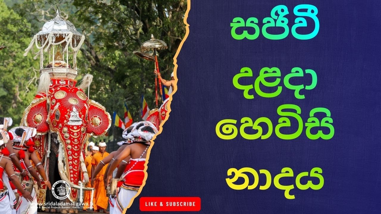 හෙවිසි නාදය: සිත් සන්සුන් කරන පූජනීය නාදය Kandy Hewisi Performance – Dalada Maligawa Highlight