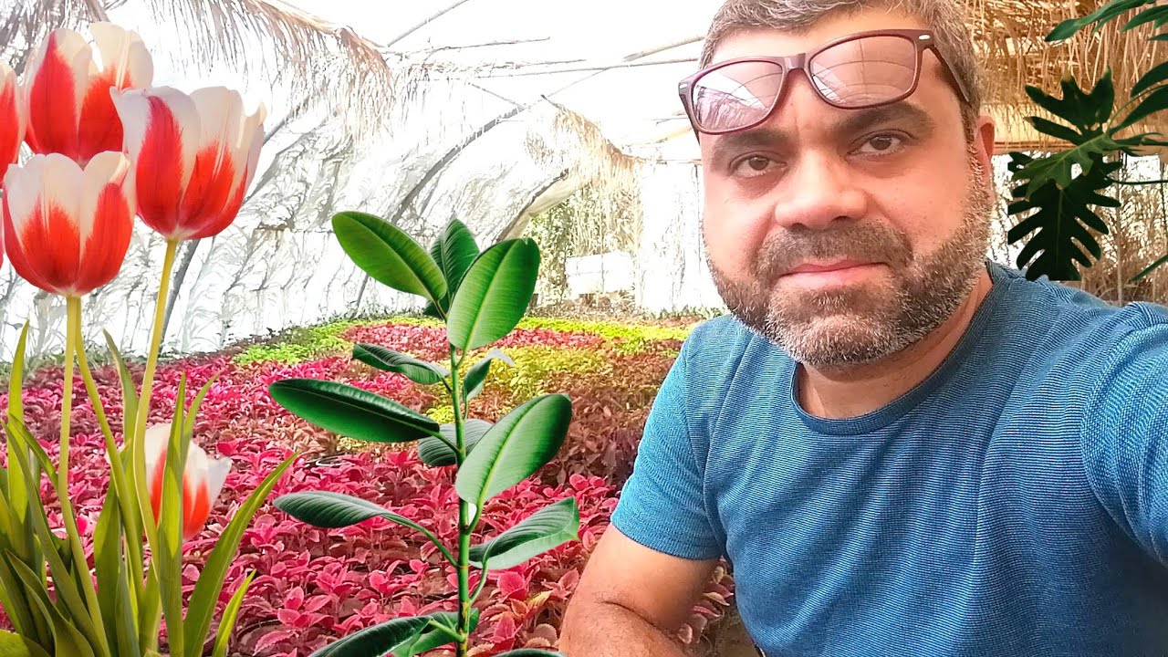 جولة بحديقتي الخارجية والتعرف على بعض#نباتات🌿 الداخلية المزرعة عندي في المنزل🏡👍😍👏#plants 