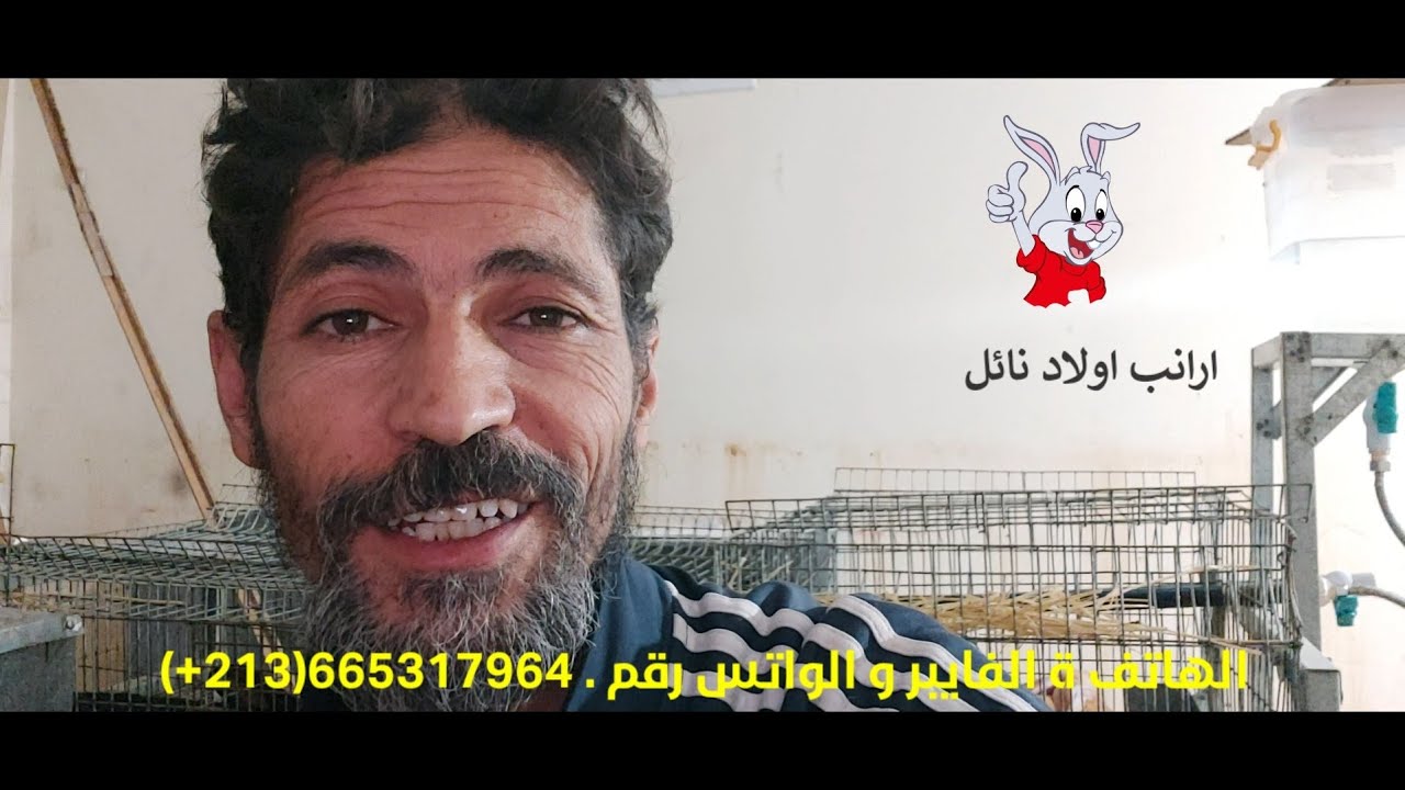 كيف تغير العلف من نوع إلى آخر