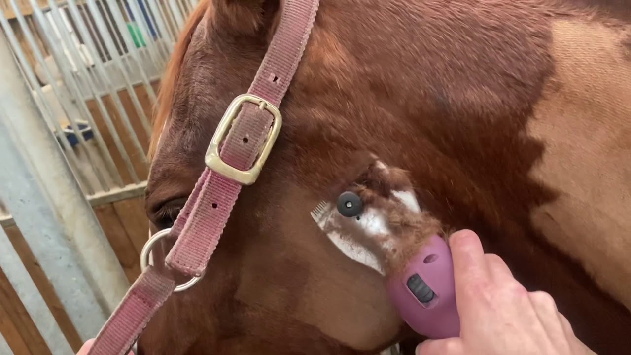 The Masterclip HD Roamer in action