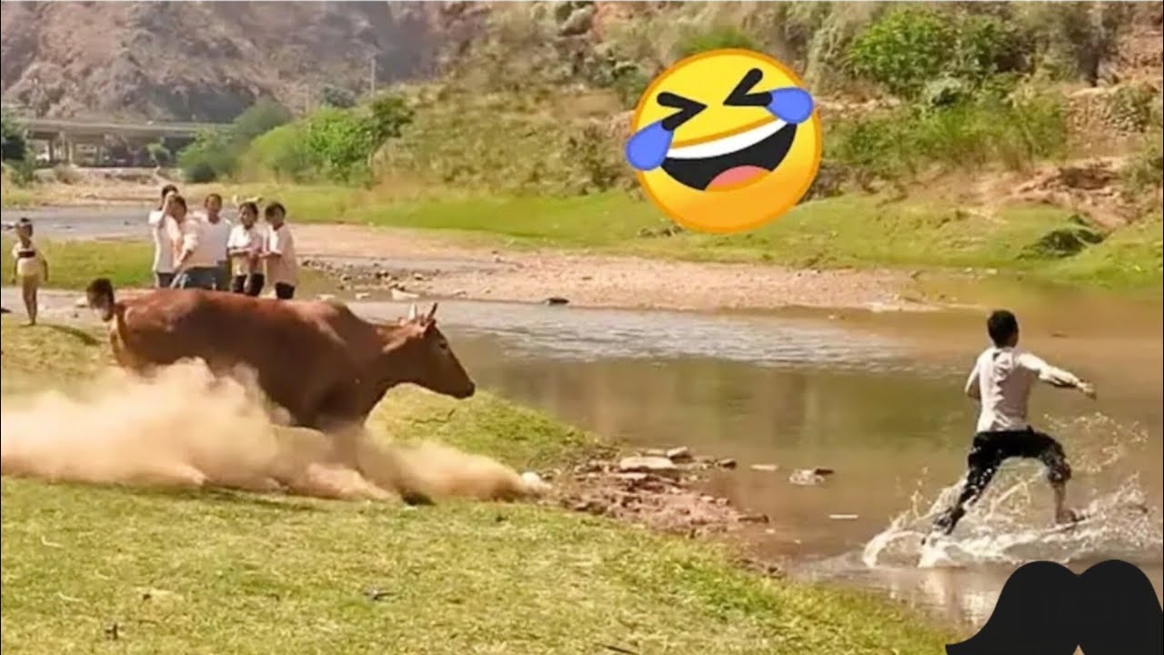 TRY NOT TO LAUGH 😆 Best Funny Videos Compilation 😂😁😆 Memes PART 001