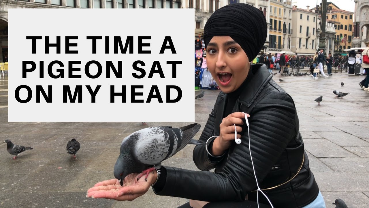 THE TIME A PIGEON SAT ON MY HEAD (VLOG 2)