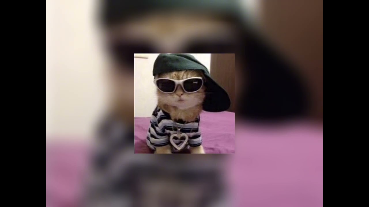 Show me How - Men I Trust (sped up/nightcore)