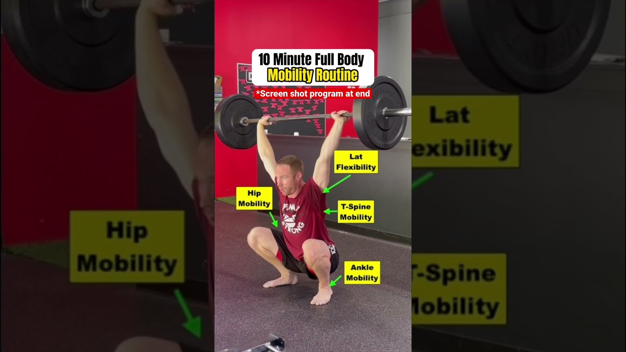 AMAZING Full Body Mobility Routine
