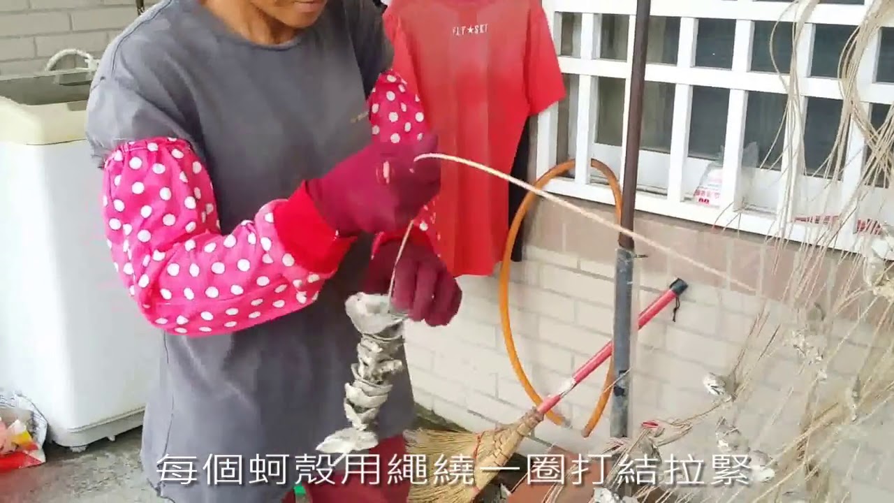 台西鄉民鑽蚵殼綁蚵串情形