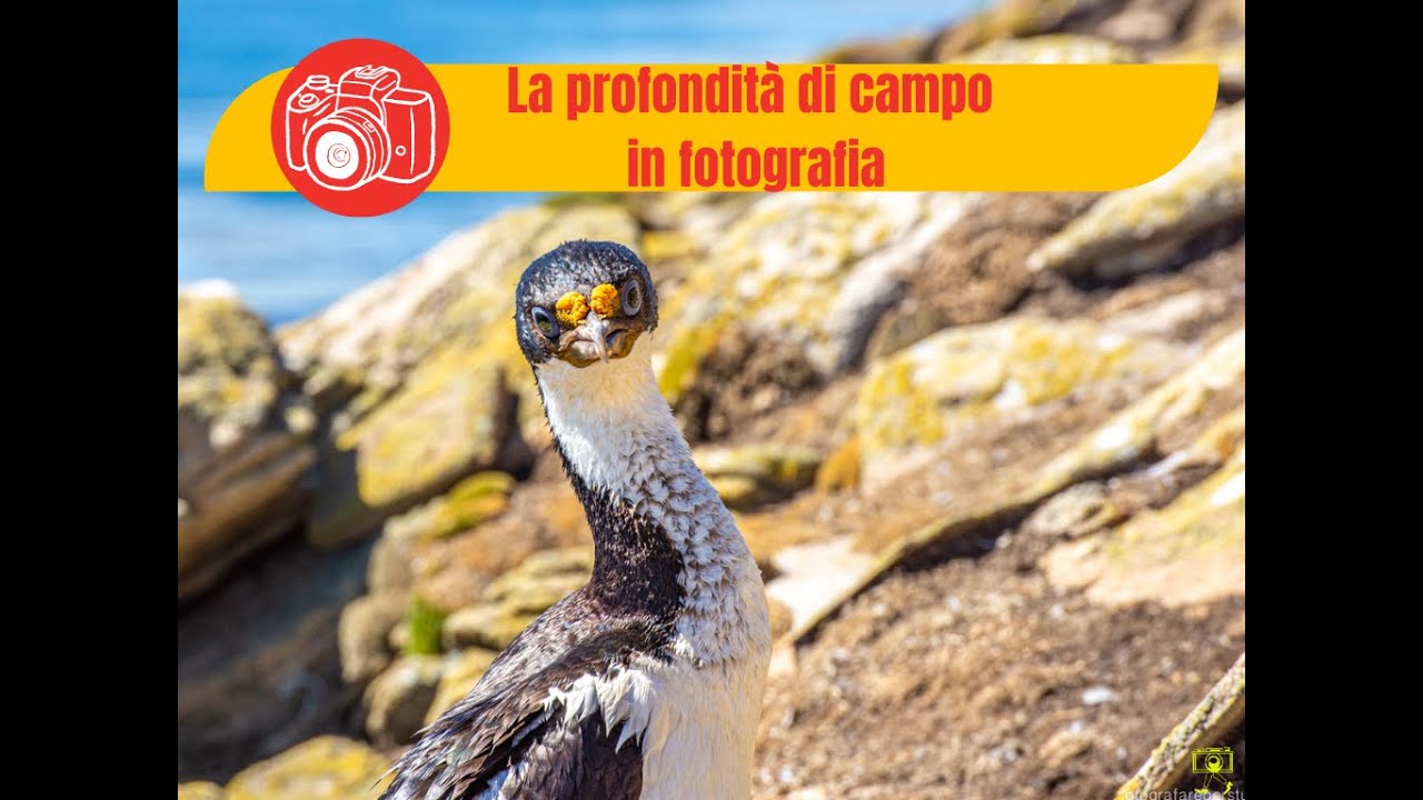 Come calcolare la profondità di campo in tutte le situazioni