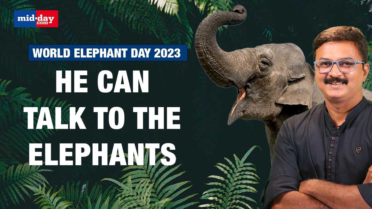 World Elephant Day 2023: This Mumbai man talks to the Elephants | Elephant Whisperer Anand Shinde