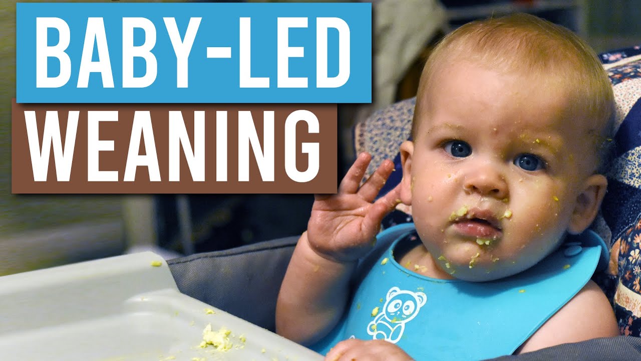Starting Solids For Baby | Why We Don't Buy Baby Food (Baby-Led Weaning)