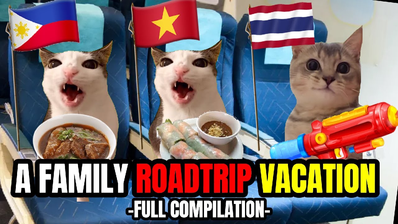 CAT MEMES: THE ULTIMATE FAMILY ROADTRIP VACATION