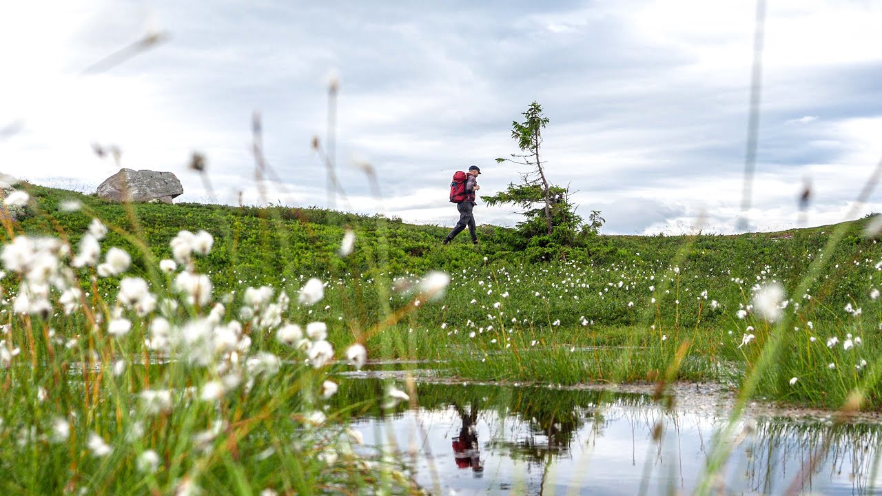 FOR THE LOVE OF MOUNTAINS, PHOTOGRAPHY & COFFEE
