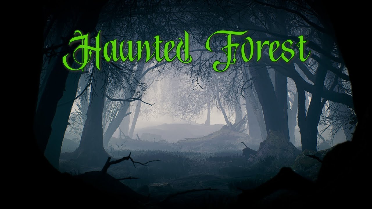 Halloween Background Video - 1 hour - Haunted woods - Scary misty forest