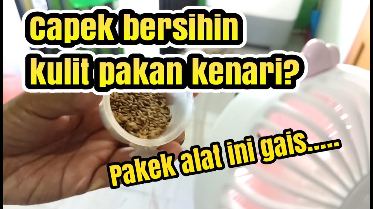 CARA MUDAH Membersihkan PAKAN Kenari