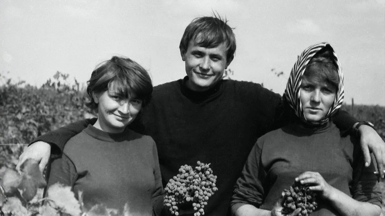 427аб.  СТУДЕНЧЕСТВО.  1965-1969.  СОГПИ-СОГУ.  Орджоникидзе Зеленогорск  2018  MPEG 4