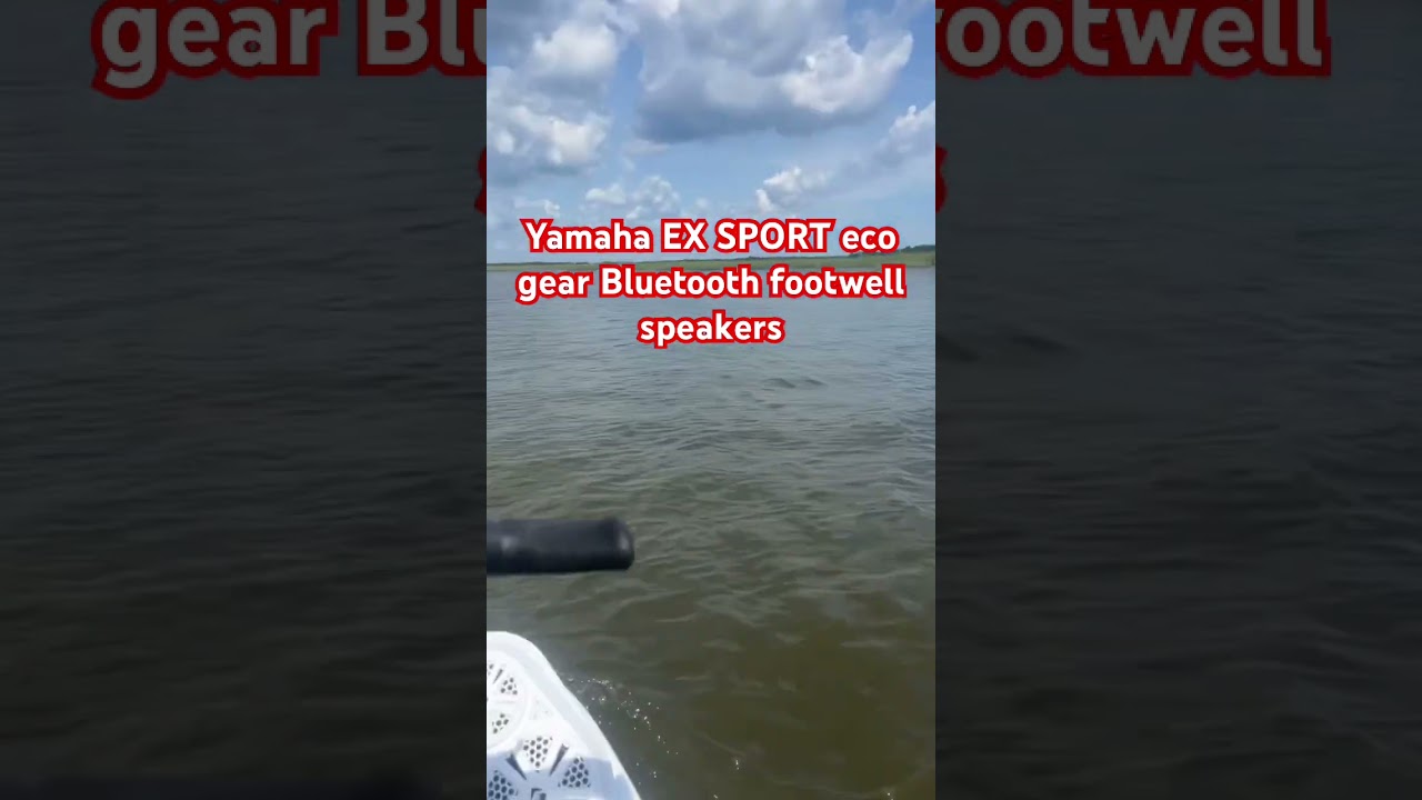 Bluetooth footwell speakers Yamaha EX. Super loud and worth it 100% and super easy install
