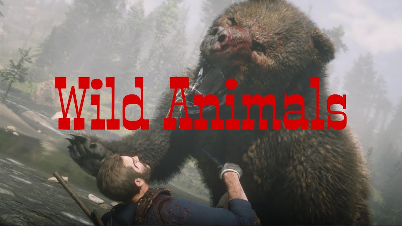 RDR2 - All Wild Animals Attack & Bite Animation