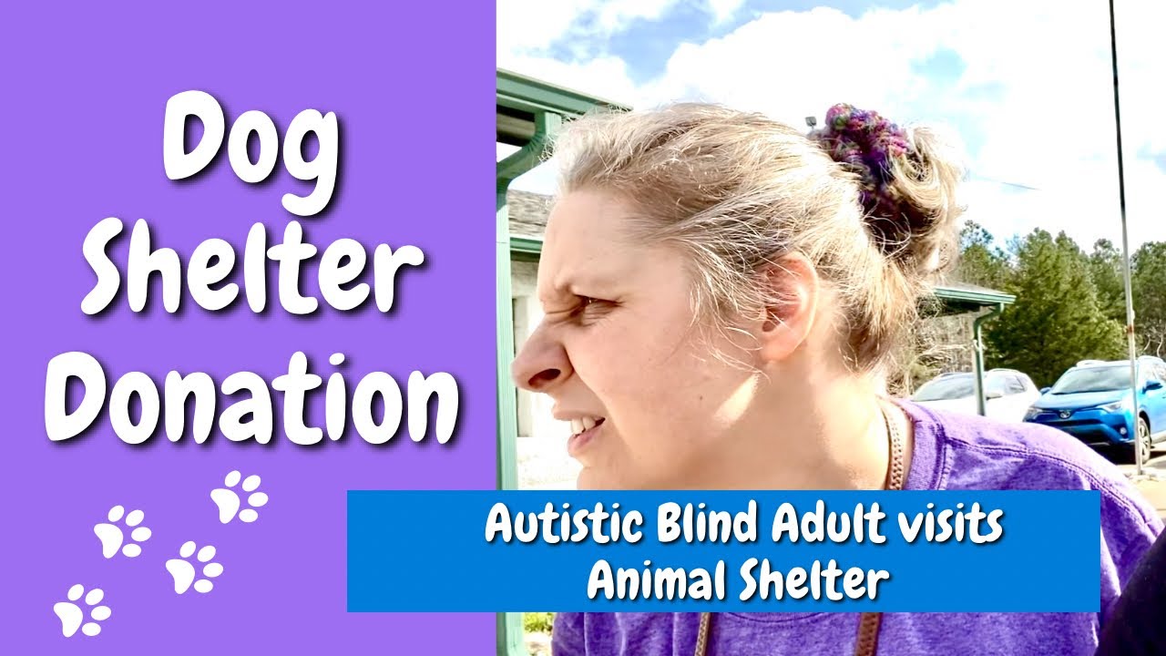 Dog Shelter Donation