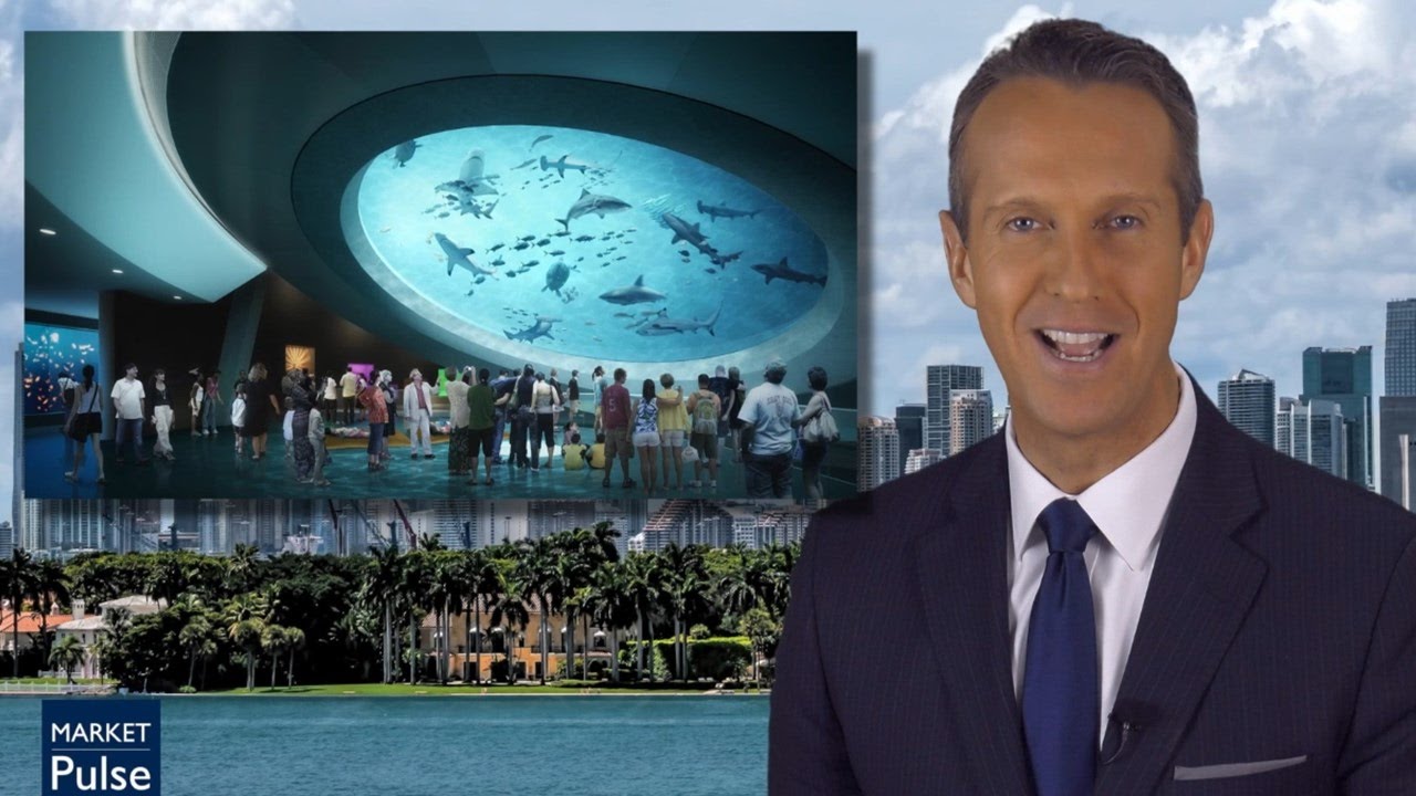 Miami Market Pulse with Arno de Vos - May 2017 Early Edition