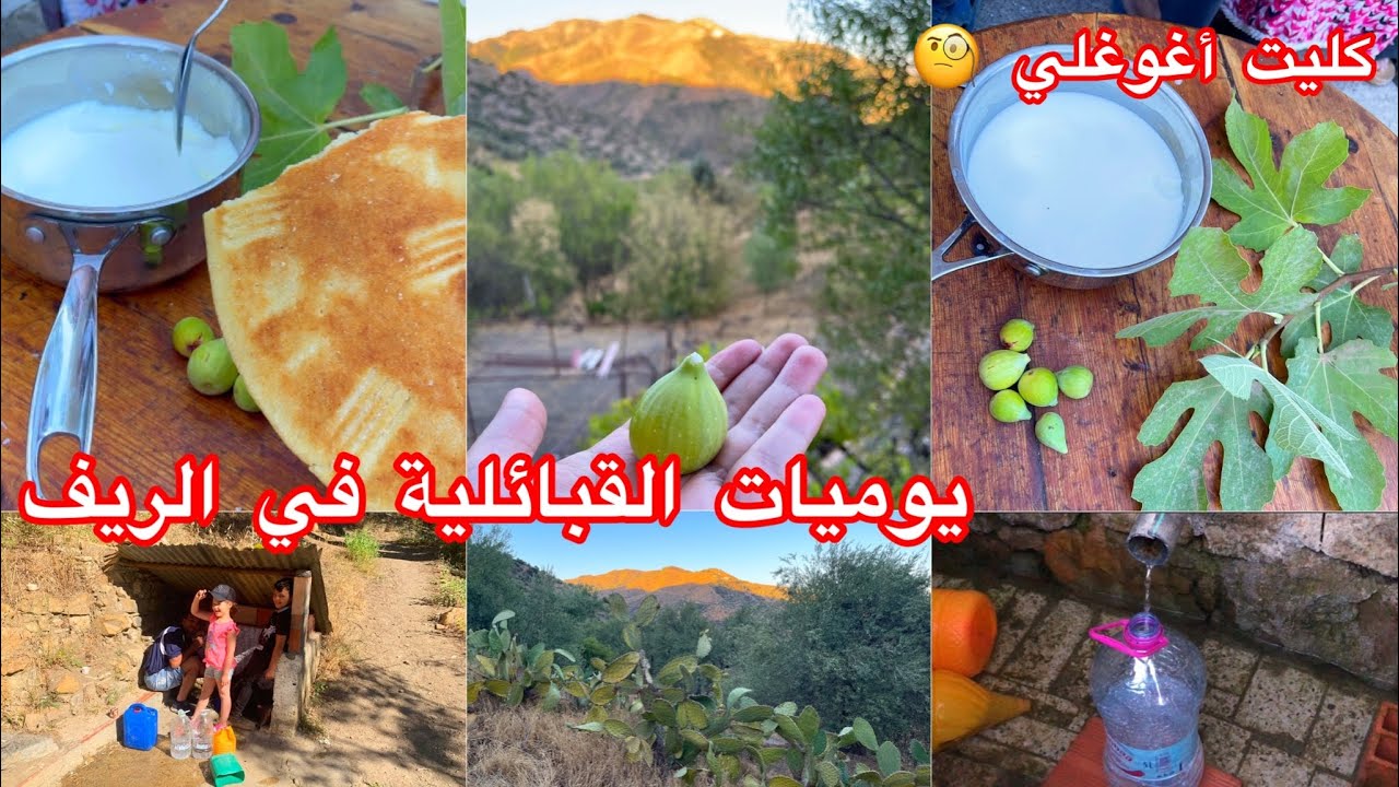 يوميات القبائلية في الريف منين نجيبو الماء العنصر تالة-السرّ باش نديرو أغوغلي #فرنسا #seddouk #كندا