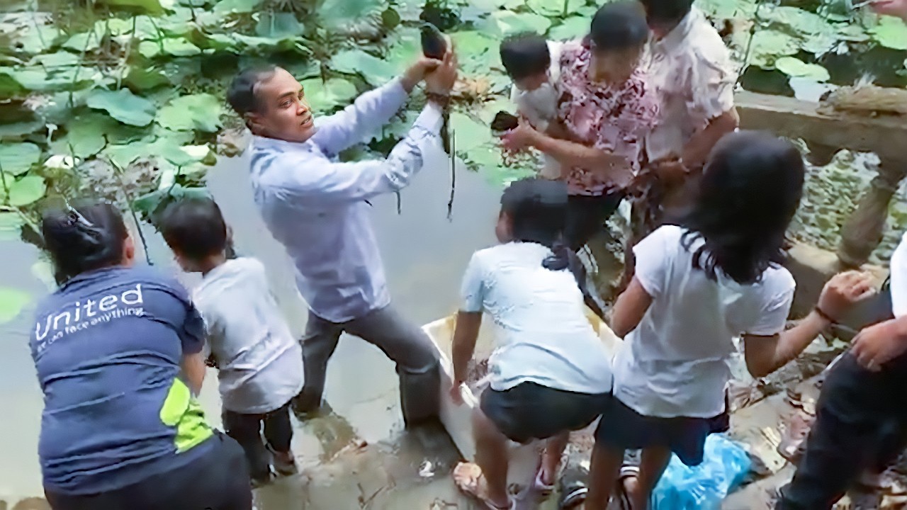លោកគ្រូធម្មានន្ទលែងត្រីថ្ងៃបុណ្យចូលឆ្នាំទី៣ ប្រវត្តិបុណ្យលែងត្រី