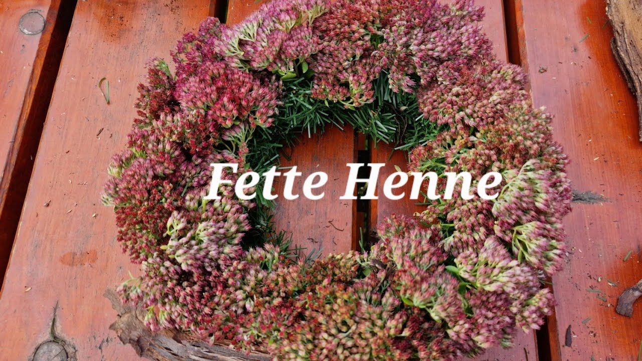 Fette Henne teilen