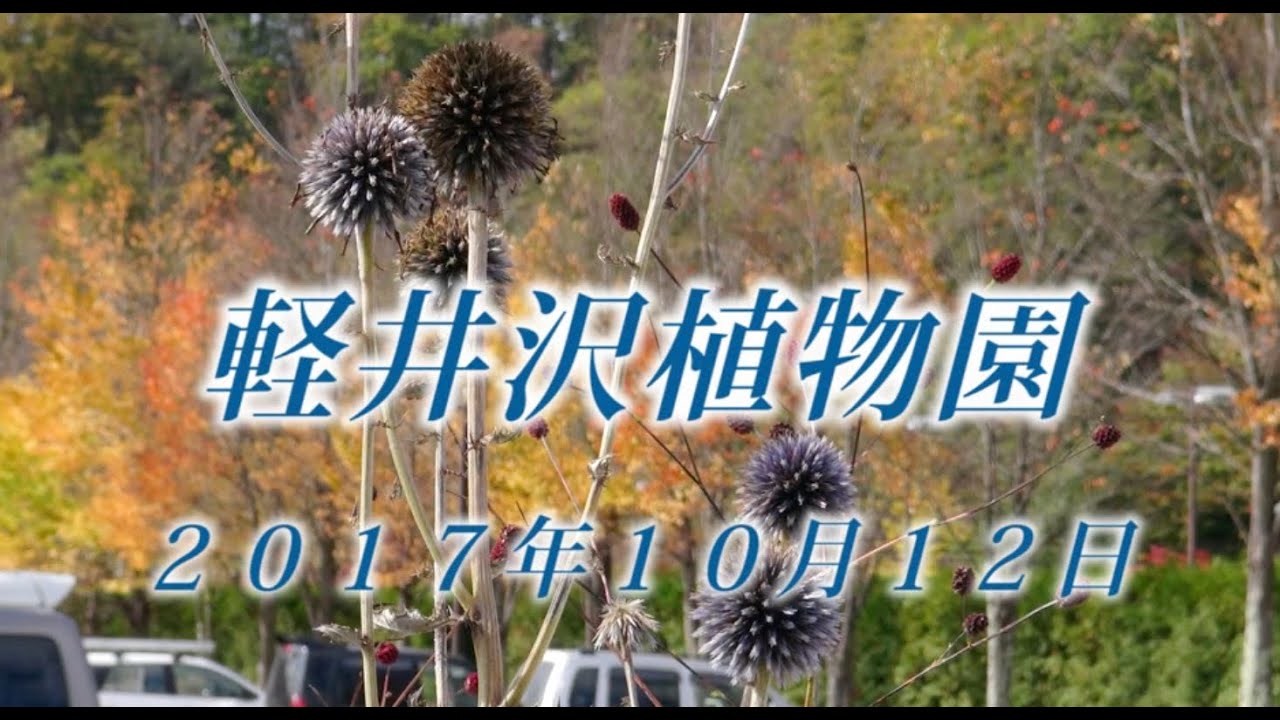 97 上信越 軽井沢植物園10月 2017年10月12日 - 生物多様性体験保全センター 高山植物を主とした野生植物の映像集